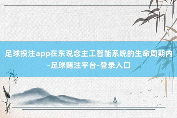 足球投注app在东说念主工智能系统的生命周期内-足球赌注平台-登录入口