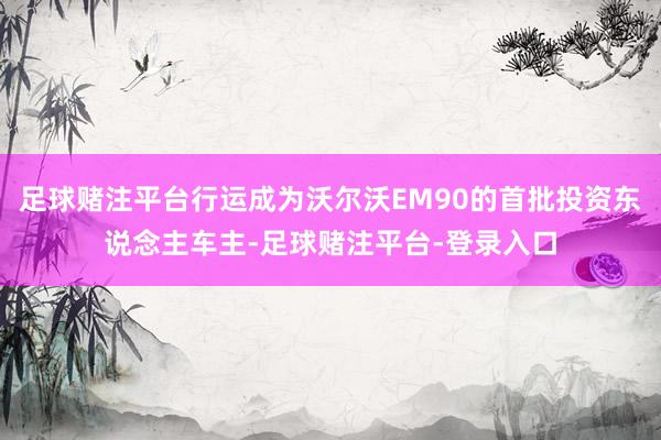 足球赌注平台行运成为沃尔沃EM90的首批投资东说念主车主-足球赌注平台-登录入口