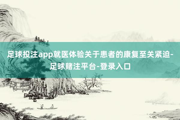 足球投注app就医体验关于患者的康复至关紧迫-足球赌注平台-登录入口