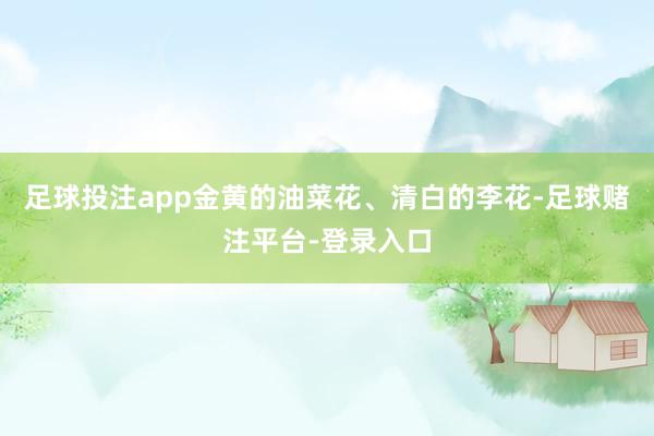 足球投注app金黄的油菜花、清白的李花-足球赌注平台-登录入口