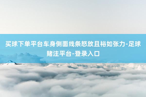 买球下单平台车身侧面线条怒放且裕如张力-足球赌注平台-登录入口