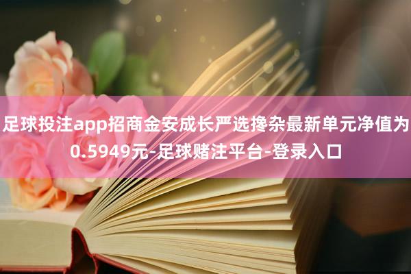 足球投注app招商金安成长严选搀杂最新单元净值为0.5949元-足球赌注平台-登录入口