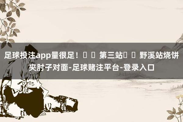足球投注app量很足! ✅第三站➡️野溪站烧饼夹肘子对面-足球赌注平台-登录入口