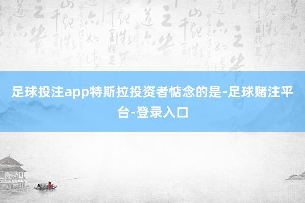 足球投注app特斯拉投资者惦念的是-足球赌注平台-登录入口