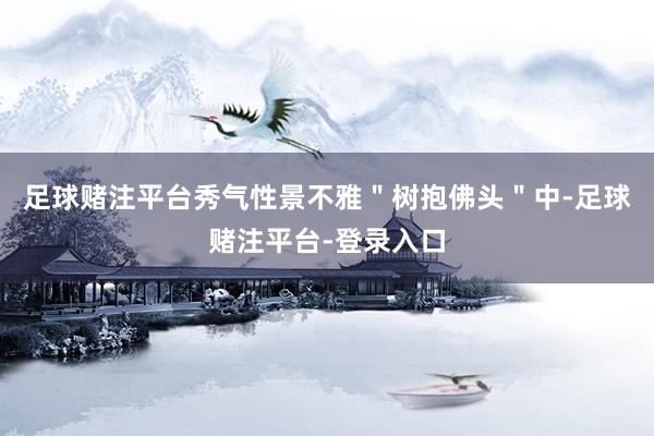 足球赌注平台秀气性景不雅＂树抱佛头＂中-足球赌注平台-登录入口