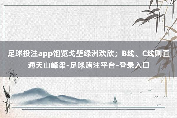 足球投注app饱览戈壁绿洲欢欣；B线、C线则直通天山峰梁-足球赌注平台-登录入口