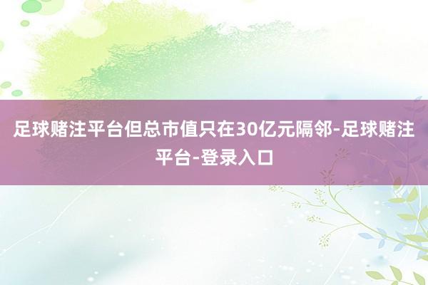 足球赌注平台但总市值只在30亿元隔邻-足球赌注平台-登录入口