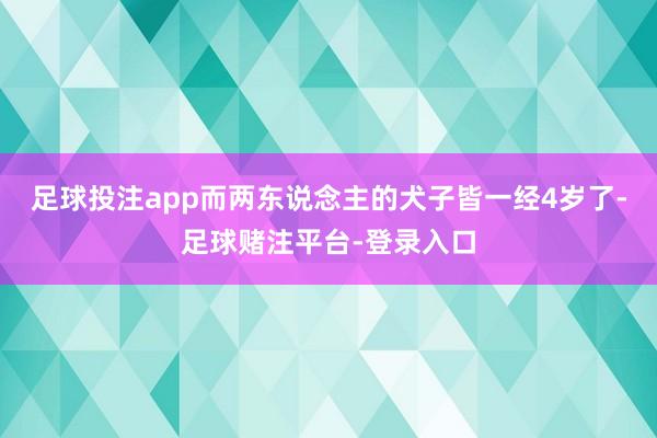 足球投注app而两东说念主的犬子皆一经4岁了-足球赌注平台-登录入口