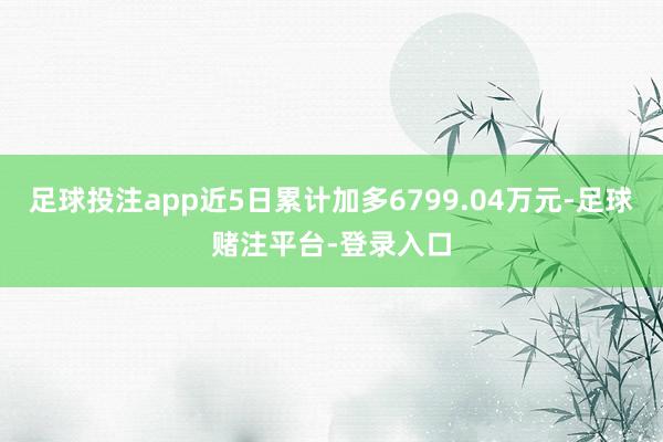 足球投注app近5日累计加多6799.04万元-足球赌注平台-登录入口
