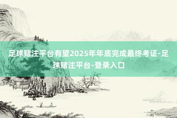 足球赌注平台有望2025年年底完成最终考证-足球赌注平台-登录入口